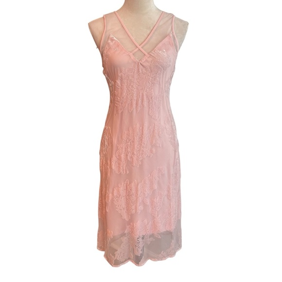 Spirit of Grace Pink Velvet Burnout Dress XS Balletcore Sheer Fairycore Mesh - Picture 3 of 12